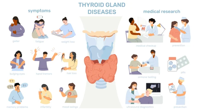 Thyroid Disorders And Symptoms