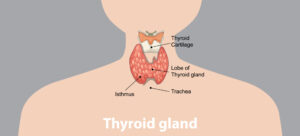 Early Detection Of Thyroid Cancer