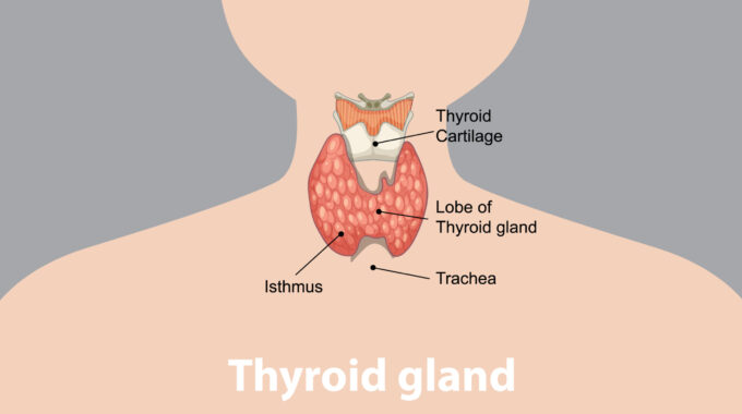 Early Detection Of Thyroid Cancer